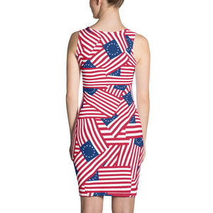 Betsy Ross Flag Cut & Sew Dress